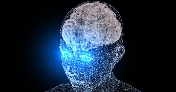 Company Wants To Preserve Your Brain, Upload It Digitally