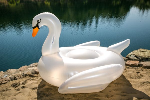 Weird cheap inflatable swan