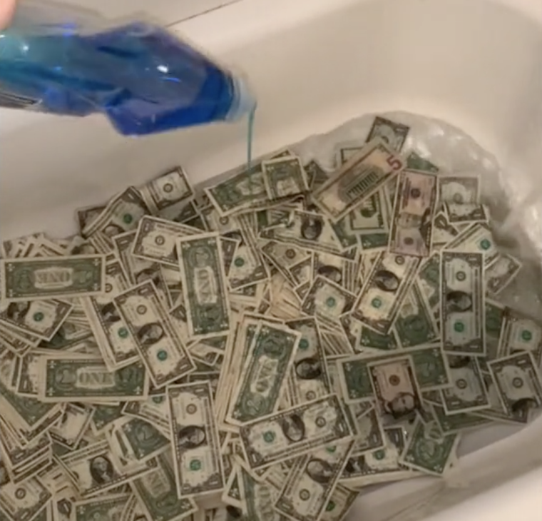 Stripper Cash - Stripper TikTok Teaches Us The Importance Of Washing Our Money