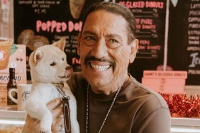 National Dog Day Celebrity Photos Best 2024 Danny Trejo Barbra Streisand Elmo