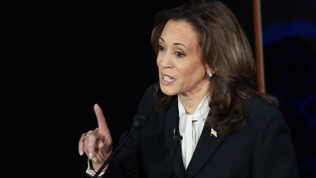 Kamala Harris' Debate Earrings Spark Earpiece Rumors