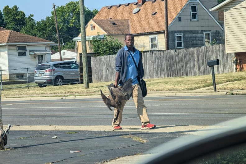 Man Viral Dead Goose Photo Haitian Immigrants Reddit