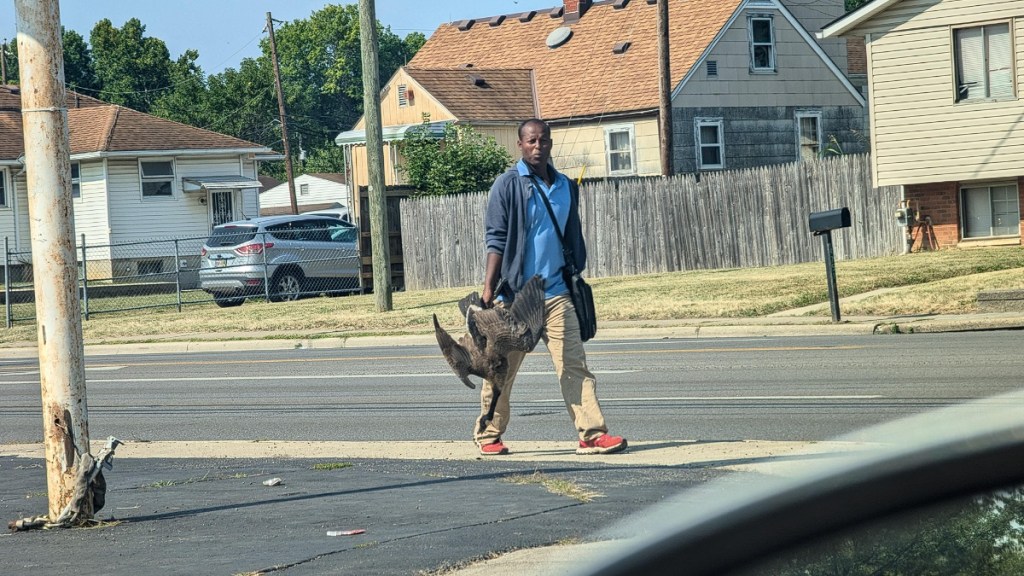 Man Viral Dead Goose Photo Haitian Immigrants Reddit