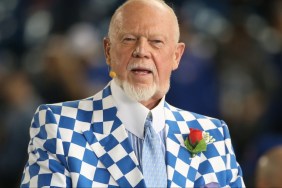 Don Cherry fired immigrants