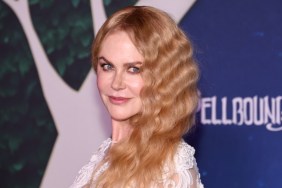 Nicole Kidman’s Sheer Gown Has the Right Amount of Boldness