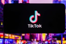 Chip Shop Diva on TikTok Explained