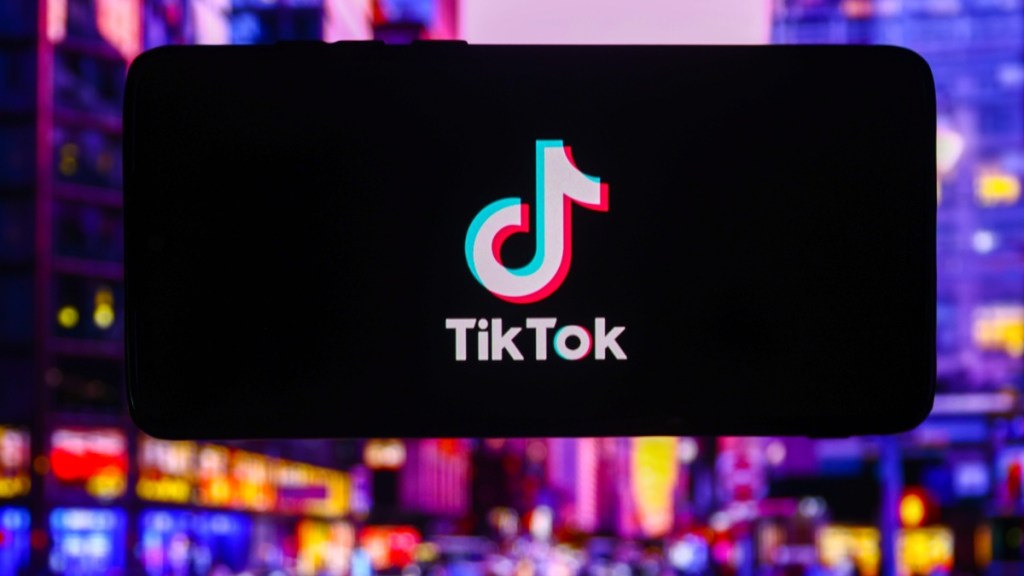 Chip Shop Diva on TikTok Explained