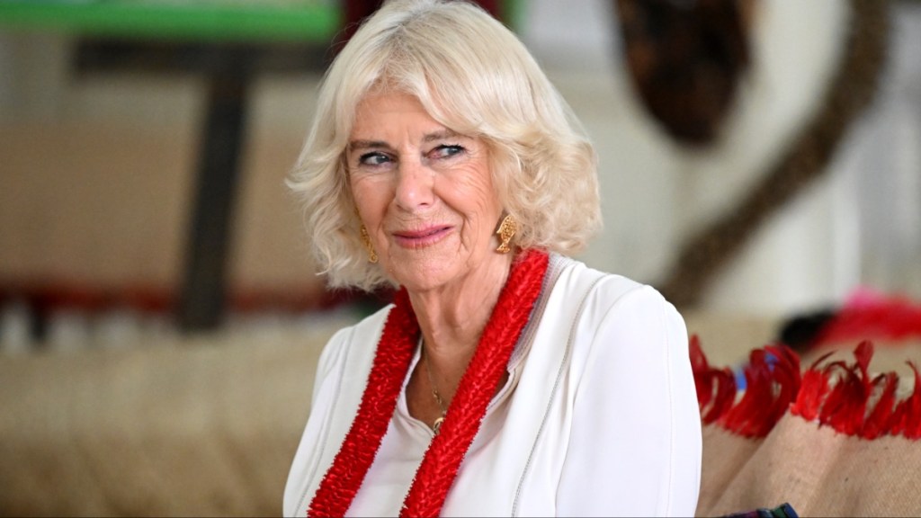 Queen Camilla health chest infection