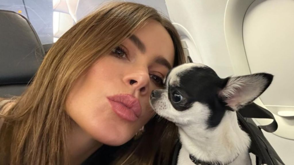 Sofia Vergara on her way to her vacation home with her dog.