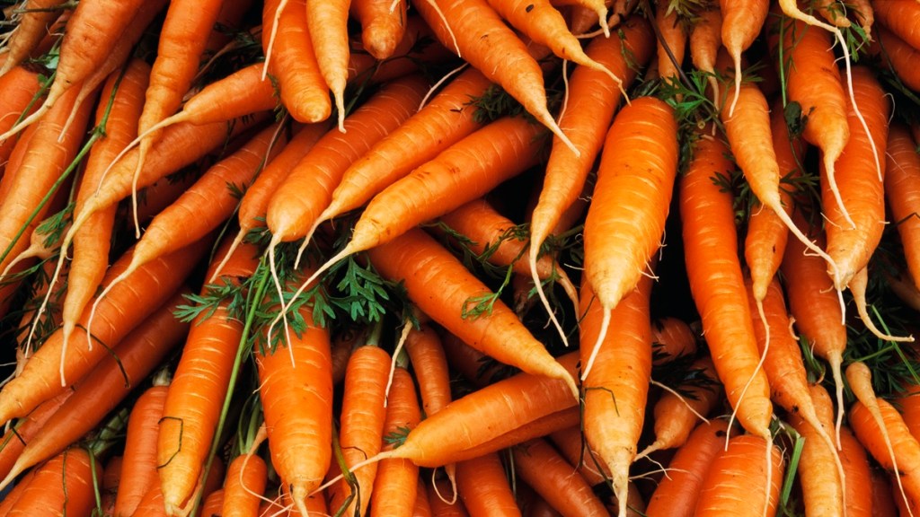 Carrot Recall List Stores Brands E Coli Outbreak Ecoli FDA 2024 CDC