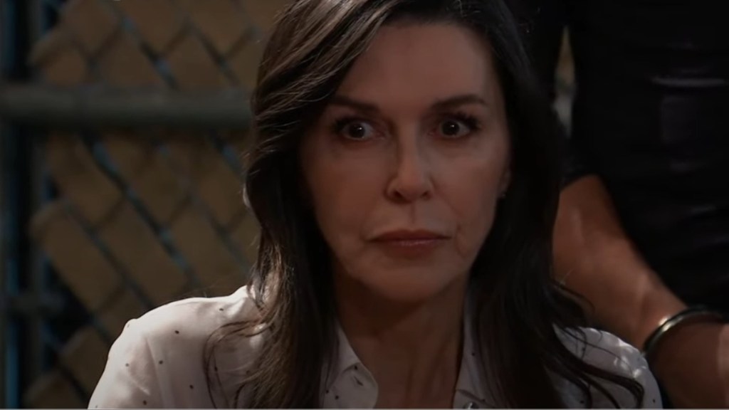 General Hospital: What Did Anna Devane Do to Make Fans So Angry?