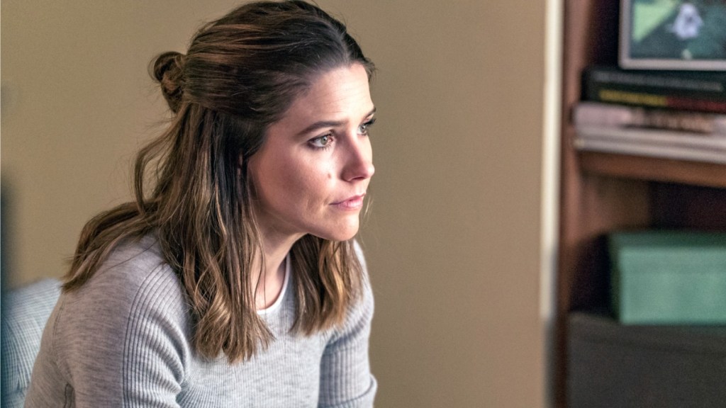 Chicago PD: Why Did Sophia Bush Leave?