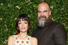 Who Is David Harbour's Wife, Lily Allen & What Is Their Relationship History?