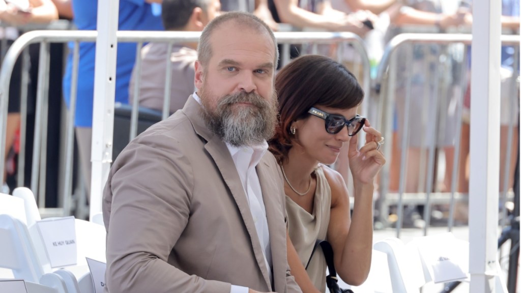 David Harbour Reportedly Split With Lily Allen