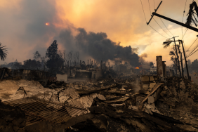 Elizabeth Chambers LA Palisades fire wildfires before and after