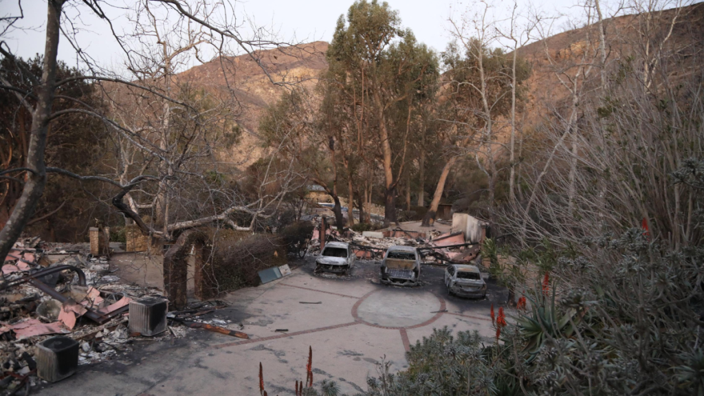 Mel Gibson LA fire celeb homes