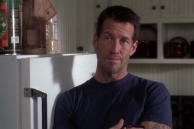 Desperate Housewives: Why Did James Denton’s Mike Delfino Leave?