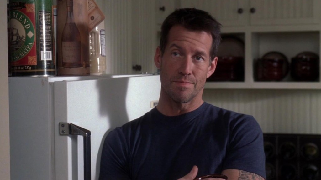 Desperate Housewives: Why Did James Denton’s Mike Delfino Leave?