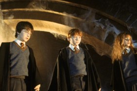 Harry Potter Director Praises the TV Show Remake: ‘I think it's great’