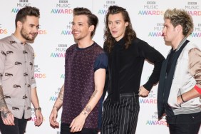 One Direction Reunion Rumors Surface After BRIT Awards Nomination