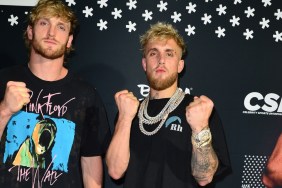 Jake Paul vs. Logan Paul Fight Event Teased by Max