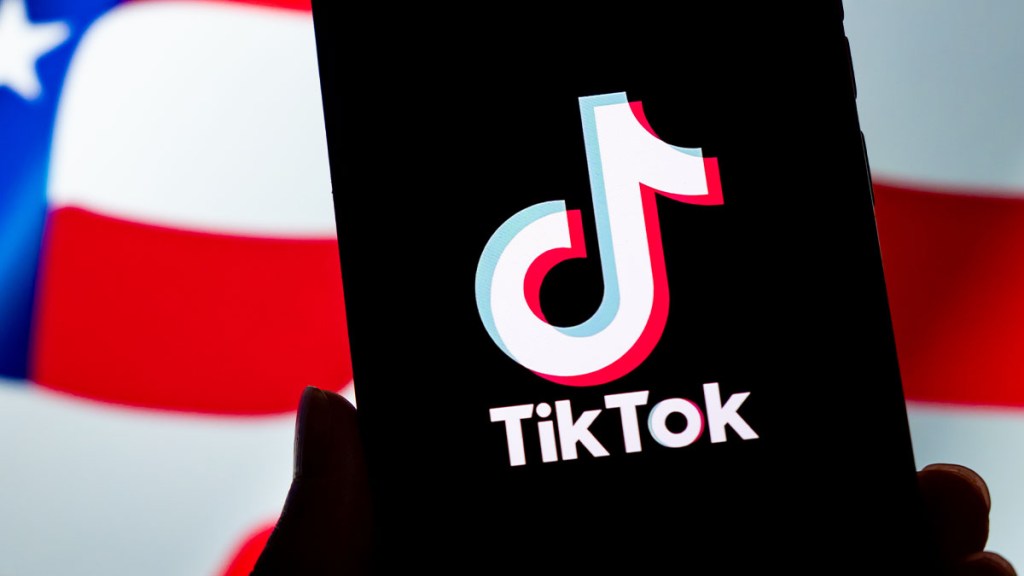 What will TikTok ban look like