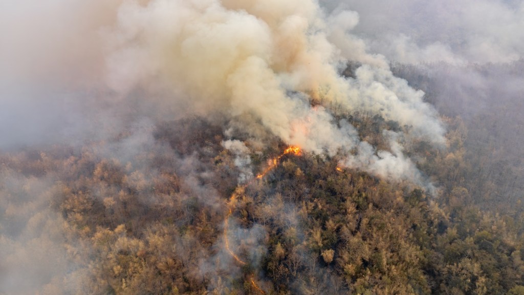 Border 2 Fire Map San Diego Otay Mountain Chula Vista Today Now California Wildfire