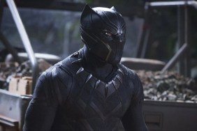 recast Chadwick Boseman Black Panther