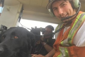 What Happened to Dozer on Gold Rush? Parker’s Dog’s Fate Revealed