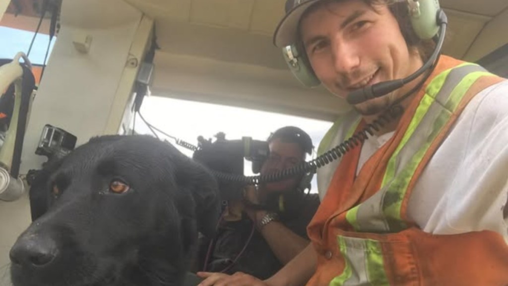 What Happened to Dozer on Gold Rush? Parker’s Dog’s Fate Revealed