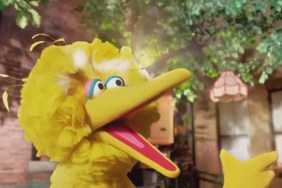 Sesame Street: Why Did HBO Cancel the Series?