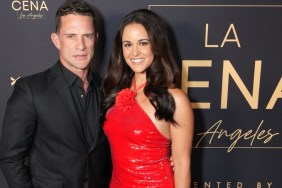 Who Is Melissa Fumero's Husband, David & What Is Their Relationship History?