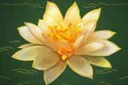 The White Lotus Season 3: Tantric’s Meaning Explained