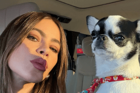 Sofia Vergara's Dog Is the Star of Her Valentine's Day Photos