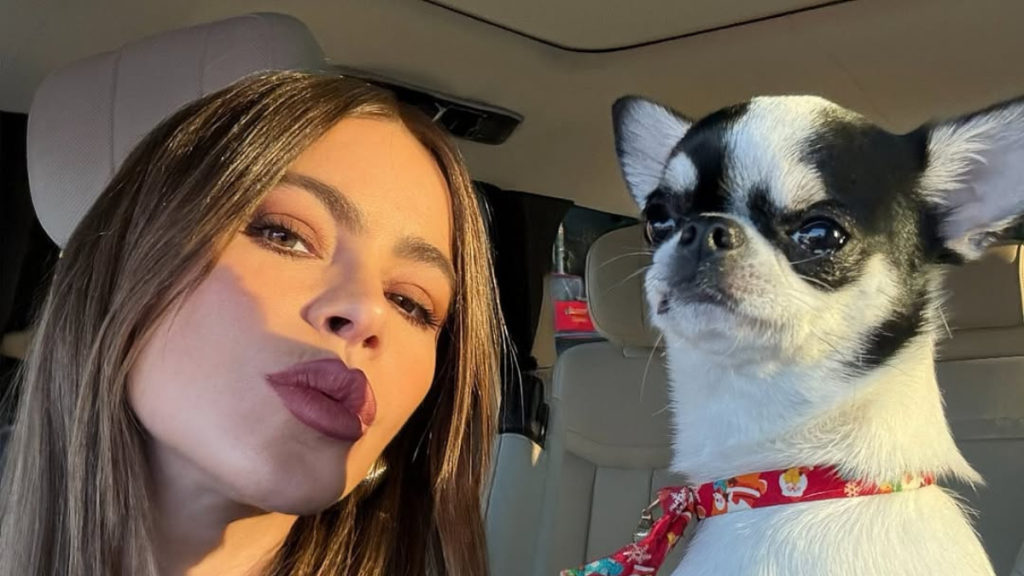 Sofia Vergara's Dog Is the Star of Her Valentine's Day Photos